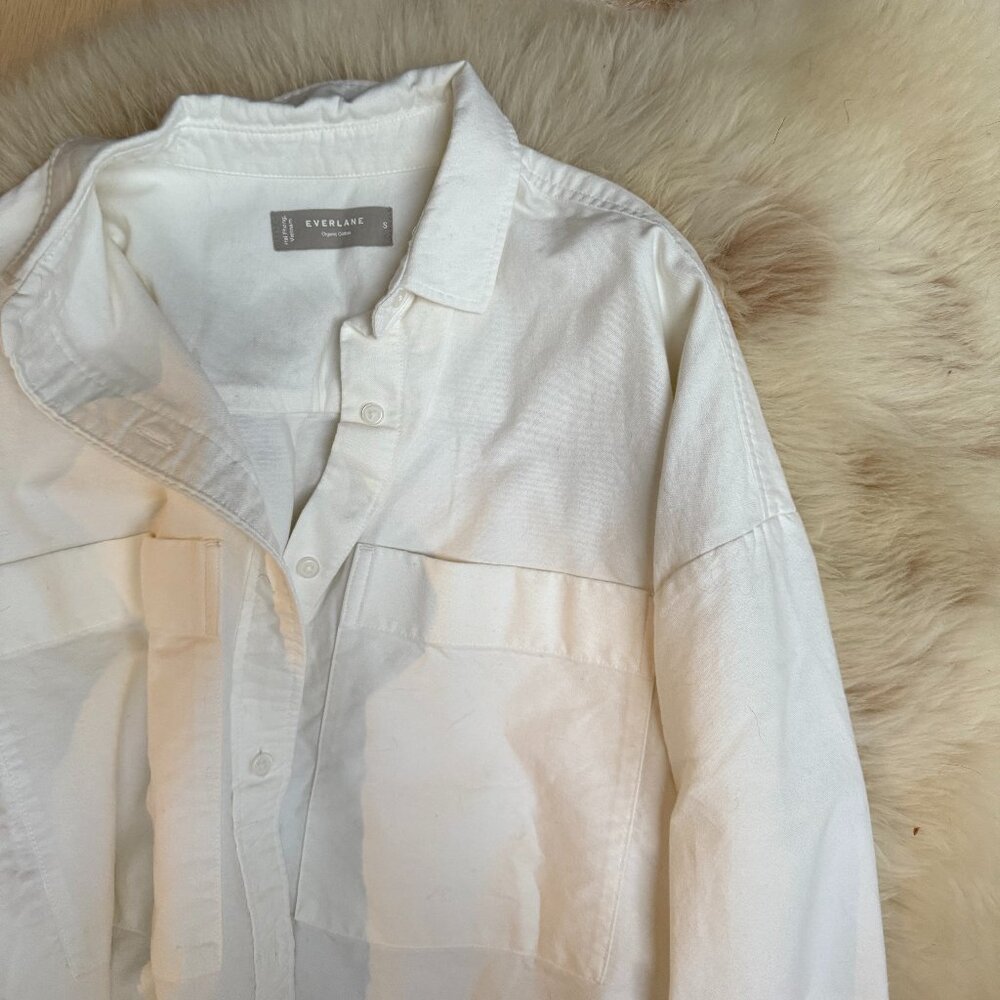 Everlane The Boxy Oxford